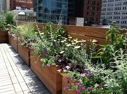 Maybe you would like to learn more about one of these? Nyc Backyard Rooftop Garden Designer For The Beautifully Wild Alexandra Abuza