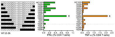 To do with being male or female: Vaccines Free Full Text Novel Nested Peptide Epitopes Recognized By Cd4 T Cells Induced By Hiv 1 Conserved Region Vaccines Html