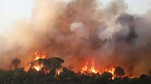 Wegen eines schweren waldbrandes, sind in südfrankreich, tausende anwohner und touristen, in sicherheit gebracht worden. Watbxblysz Aem