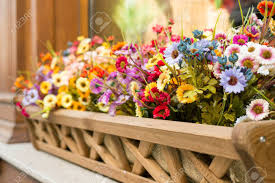 We did not find results for: Artificial Flowers In The Box Outside The Window Selective Focus Copy Space Stock Photo Picture And Royalty Free Image Image 54194952