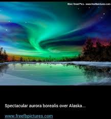 Aurora Borealis Alaska Aurora Borealis Alaska Alaska Northern Lights Nature Pictures