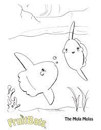 The sunfish owner's manual is a one stop information resource for the world's most popular. Mola Mola Sunfish Coloring Page Fruitbats Company