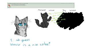 Ask Jayfeather 11 By Ask Jay Feather On Deviantart Warrior Cats Fan Art Jay Feather Warrior Cats