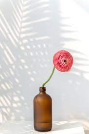 Download Premium Image Of Pink Ranunculus Flower In A Bottle Vase 2276488 Macro Photography Flowers Fresh Flowers Arrangements Bloom Blossom