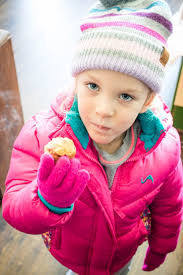 Strawberry Banana Mini Muffins