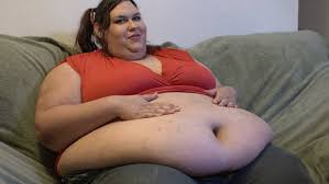 Bildergebnis für ssbbw couch