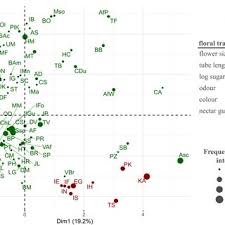 Image result for Sherbournia bignoniiflora
