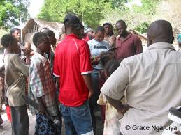 Image result for Excoecaria bussei