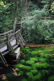 Silent Pool Shere Surrey England Uk Places To Go England Places To Visit