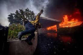 Palisades Fire in Los Angeles scorches ...