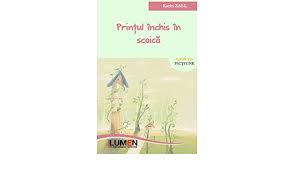 Internetul are un rol foarte important pentru fiecare dintre noi. Printul Inchis In Scoica Amazon De Zall Karin Fremdsprachige Bucher