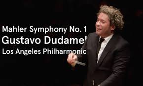 Image result for Manniella gustavi