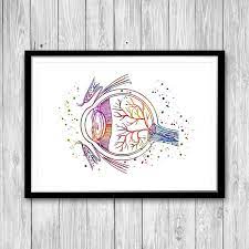 Eye Anatomy Poster Watercolor Print Gift For Eye Doctor Office Etsy In 2021 Eye Anatomy Watercolor Print Watercolor Art Prints
