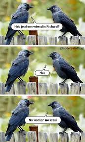 images?q=tbn:ANd9GcSQxrMygUVhbv-xnZSYDGToeVoQAGNqEhL75g&s