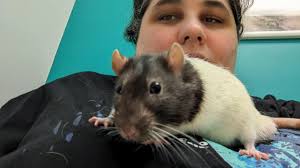 Lisa & family Don't know if you've seen this? All the year 11's, applauding  Jack 💙🩵 xx