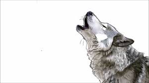 How to draw a wolf: Howling Wolf Wolf To Draw Novocom Top