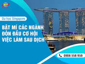 Image result for Đơn hàng dịch vụ vệ sinh nam đến 40 tuổi 3 năm lương 250tr năm đi Singapore