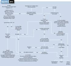 Image result for PECARN Pediatric Intra-Abdominal Injury Algorithm
