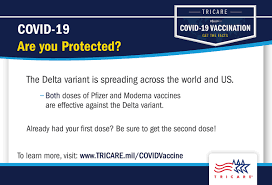 In the delta variant, the mutation is a change in position in its spike protein, which allows the virus to penetrate and infect healthy cells. The Delta Variant Are You Protected Health Mil