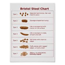 Bristol Stool Chart Scale Zazzle Com Bristol Stool