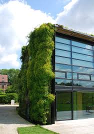 Maison Vegetale A Bruxelles Vue Du Jardin Juin 2010 Facade Verte