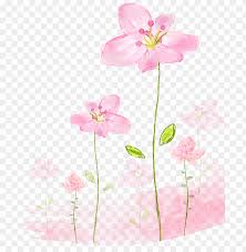 Pink flowers paper pink flowers rose, hand painted floral pink flowers decorative background, pink petaled flowers illustration, watercolor painting, flower arranging, textile png 1500x2250px 3.65mb white ribbons illustration, ribbon, ribbon, angle, happy birthday vector images png 1092x2480px 237.55kb Flowers Background Png Watercolor Pink Flower Background Png Image With Transparent Background Toppng