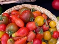Forest Grove Farmers Market