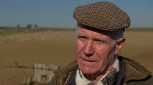 One police charge over 10,000 stolen sheep in England and Wales