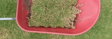 Once the retaining wall is erected and stable, pile in soil behind it. My Garden Transformation Project Why I M Digging Out My Lawn By Hand Treading My Own Path Less Waste Less Stuff Sustainable Living