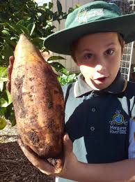 Annual garden sale bigger than ever this Friday