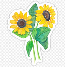 Png stickers printable stickers in png format. Sticker Tumblr Png Image With Transparent Background Toppng