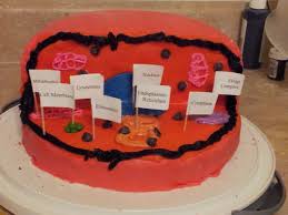 Maybe you would like to learn more about one of these? Edible Science Project Plant Cell Cakecentral Com