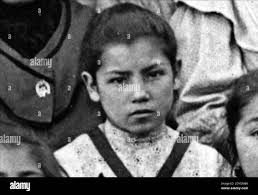 Vicuna vicuna Black and White Stock Photos & Images