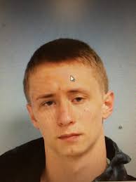 Willimantic police dog aids in burglary arrest