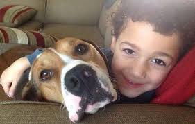 animals since 1948 Providing loving and humane treatment for