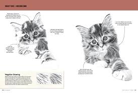 A link to my website: Drawing Cats Kittens Learn To Draw Step By Step How To Draw Paint Smith Cindy Stacey Nolon Tavonatti Mia 9781633225787 Amazon Com Books