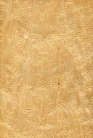 Maple Bird S Eye Wood Texture Texture Of Maple Bird S Eye High Detailed Wood Sponsored Wood Texture Eye Maple B Wood Texture Birds Eye Texture