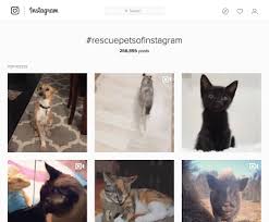 What was your favorite story? How To Create A Powerful Instagram Feature Account