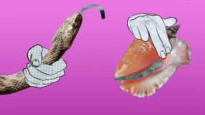 Porn Starter Kit Shorts – Pornfilmfestival Berlin