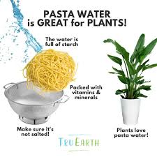 We did not find results for: Tru Earth On Instagram Just Make Sure It S Cooled First And Voila You Ll Save Water And Make Your Plants Happy T Plants Water Plants Water Saving Tips