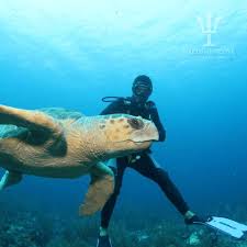 Scuba Diving Tour Blue Hole Snorkel Belize City Belize District