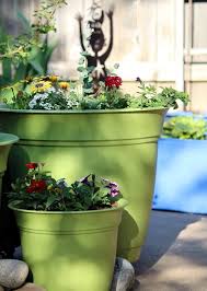 Recipe by lindas busy kitchen. Homemade Plant Food Recipe Cozy Little House