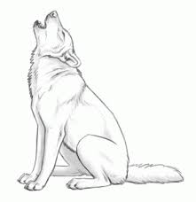 Step by step instructions on drawing a simple wolf howling at the moon. Pin By Alondra Luna On Drawing Animal Drawings Wolf Sketch Animal Sketches