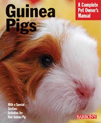 These guinea pigs are born white, with the darker highlights only showing after the first few weeks. Guinea Pigs Complete Pet Owner S Manuals Birmelin Immanuel 9780764138942 Amazon Com Books