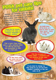 Spiffy Pet Products Pet Product Ideas Reviews And Care Tips For Your Cat Dog Fish Bird Or Other Small Pets Rabbit Care Bunny Care Pet Bunny