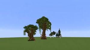 Why Is Dark Oak Sapling Not Growing In Minecraft? - West Games
