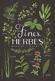 Fines Herbes Aromatics Culinary Herbs Bilingual By Evajuliet Herbs Illustration Culinary Herbs Herbs