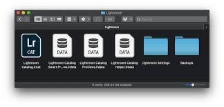 Once you start using lightroom seriously you should start to think about backups. Should You Back Up Your Lightroom Catalog Lightroom Guy