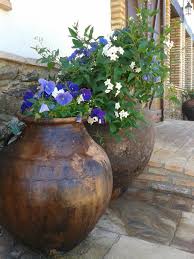 Maybe you would like to learn more about one of these? Finca El Chaparral Cortelazor Updated 2021 Prices