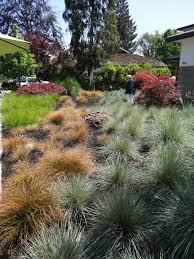 Garden Ideas How To Combine Ornamental Grasses Ornamental Grass Landscape Grasses Landscaping Ornamental Grasses
